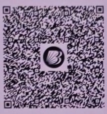 BOB QR Code