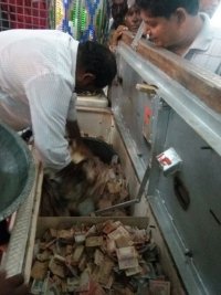 सांवलिया जी भंडार की गणना करते हुए