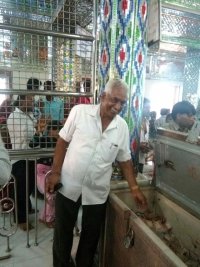 सांवलिया जी भंडार की गणना करते हुए