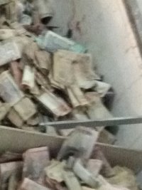 सांवलिया जी भंडार की गणना करते हुए